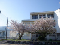 DSCF5011