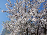 DSCF5014