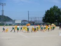 DSCF5579