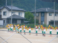 DSCF5782