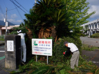 DSCF0956