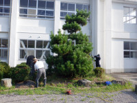 DSCF0954