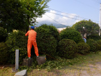 DSCF0965