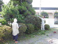 DSCF0972