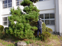 DSCF0964