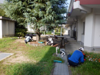 DSCF0993