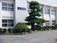DSCF1003