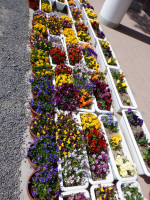 DSCF4680