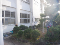 DSCF6633