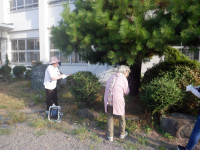 DSCF6634