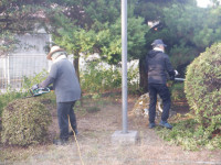 DSCF6639