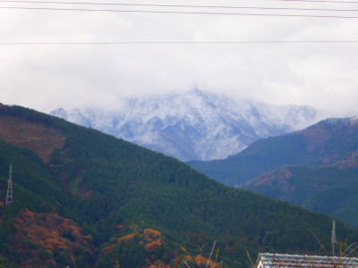 DSCF1176