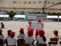 DSCF9933