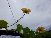 DSCF1140